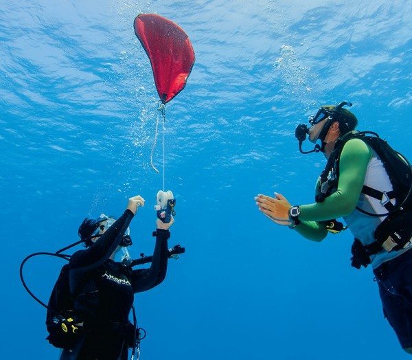 Blue Water Diving How To Deploy And Use A Lift Bag Dive Training