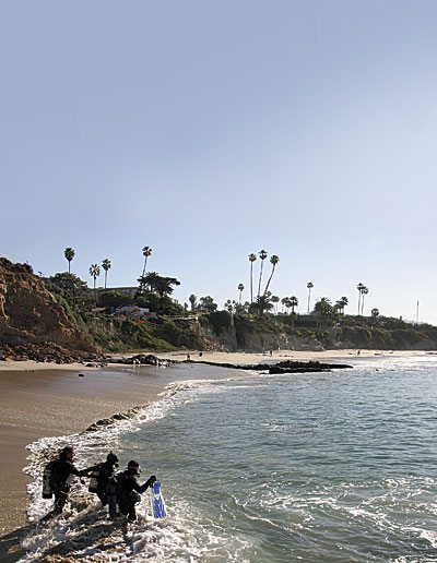 Dive Conditions in Laguna Beach: A Comprehensive Guide