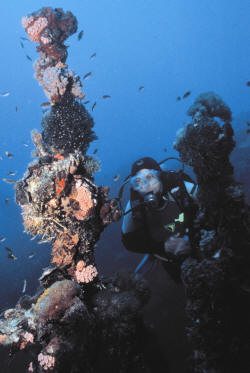 Australia scuba diving