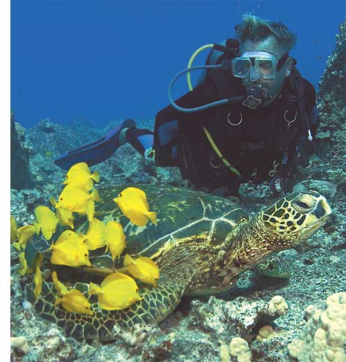 Intro to Scuba Diving in Kaanapali