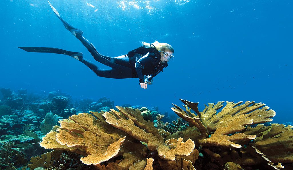 Scuba Diving | Curaçao reef