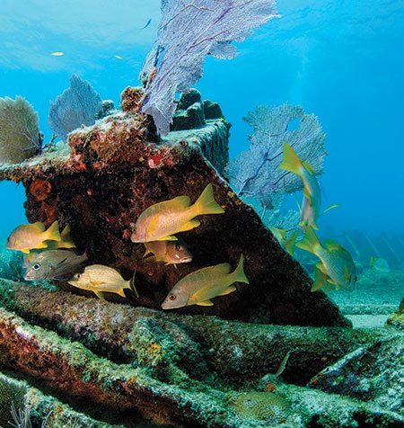 Florida Keys Reef