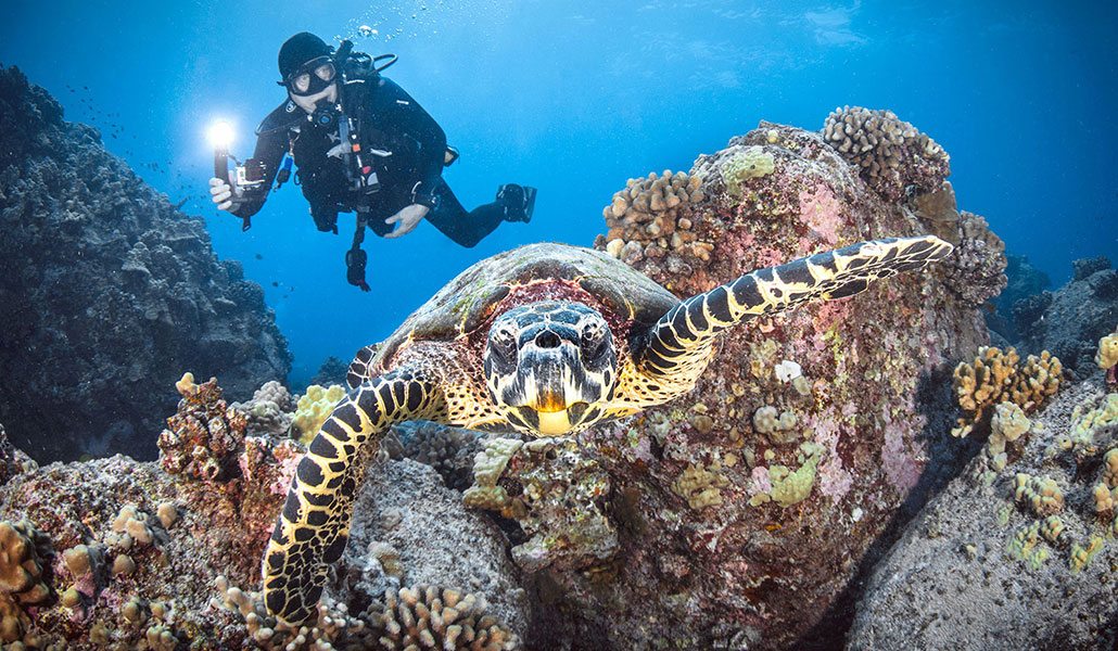 Scuba Diving | Hawaii SeaTurtle and Diver