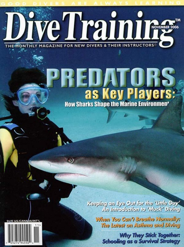 Scuba Diving | Dive Training Magazine, November 2006