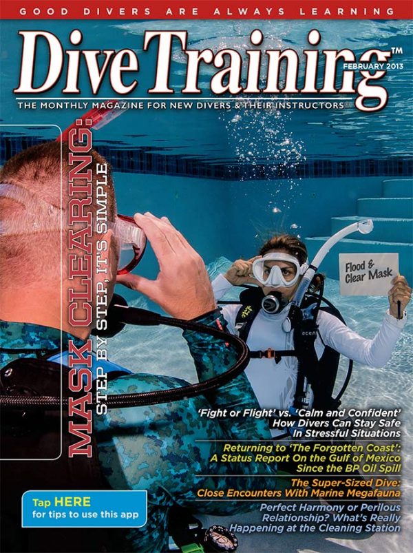 Scuba Diving | Dive Training Magazine, February 2013