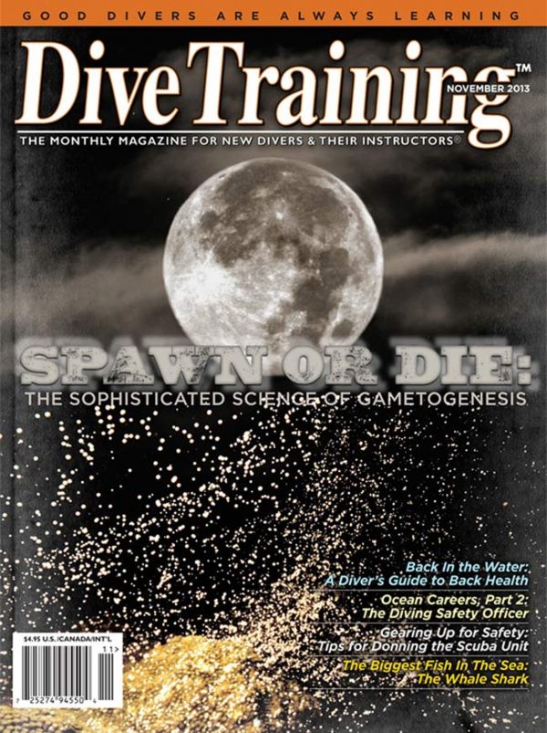 Scuba Diving | Dive Training Magazine, November 2013