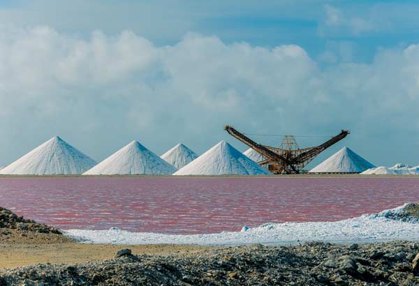 Bonaire salt flats