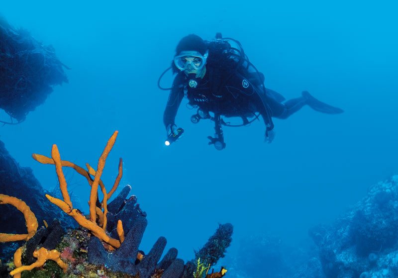 Dive Training Magazine | Scuba Diving Skills, Gear, Education