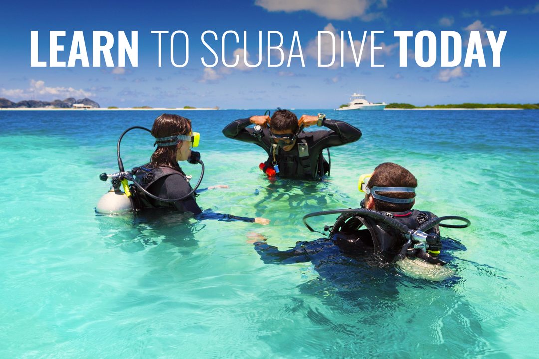 Learn To Scuba Dive Getting Started Dive Training Magazine