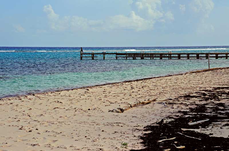 Little Cayman beach