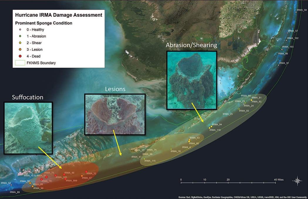 Florida Keys reef damage assessment