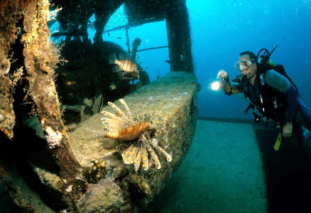 lionfish shipwreck scuba diver