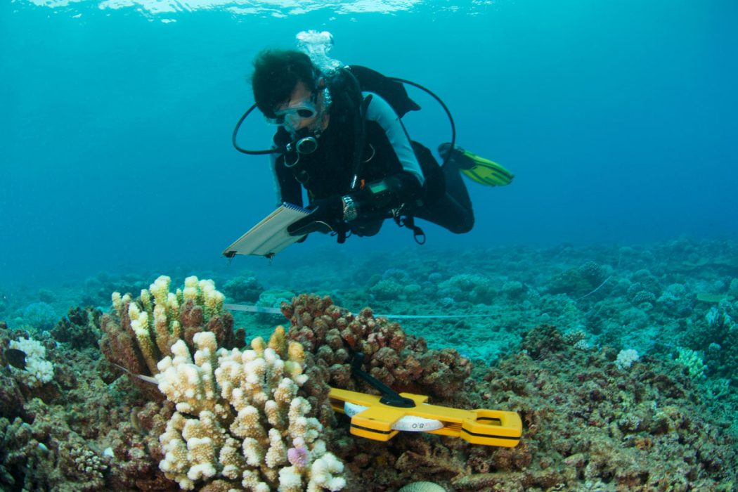 underwater research