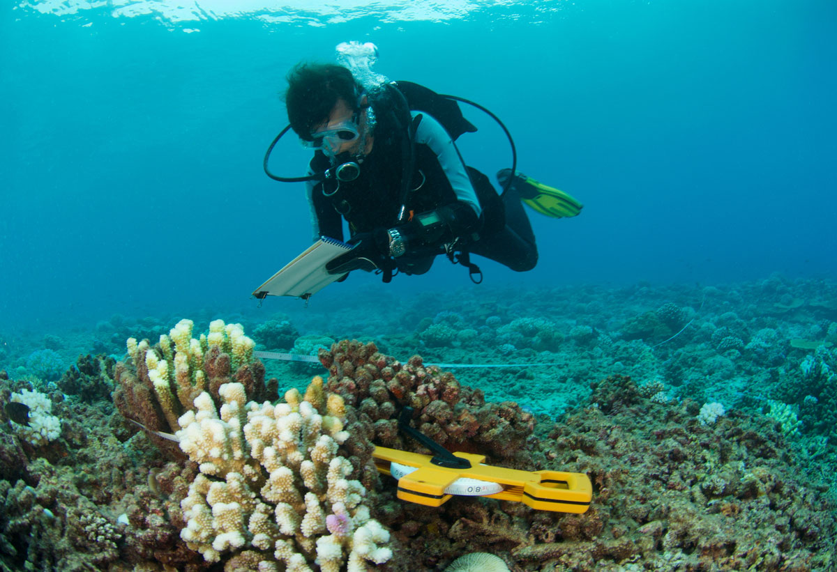 underwater research