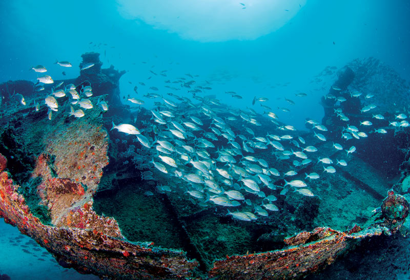 British Virgin Islands - shipwreck