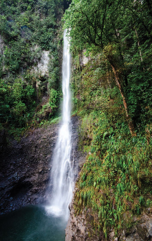 Dominica waterfall