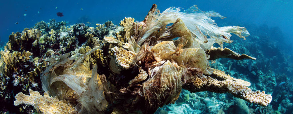 The Sickly Seas: Reaping The Unwanted Harvest Of A Plastic Overload ...