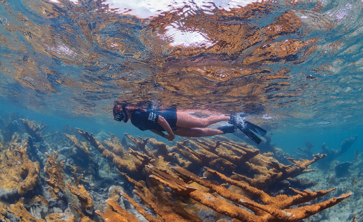 snorkeling on reef
