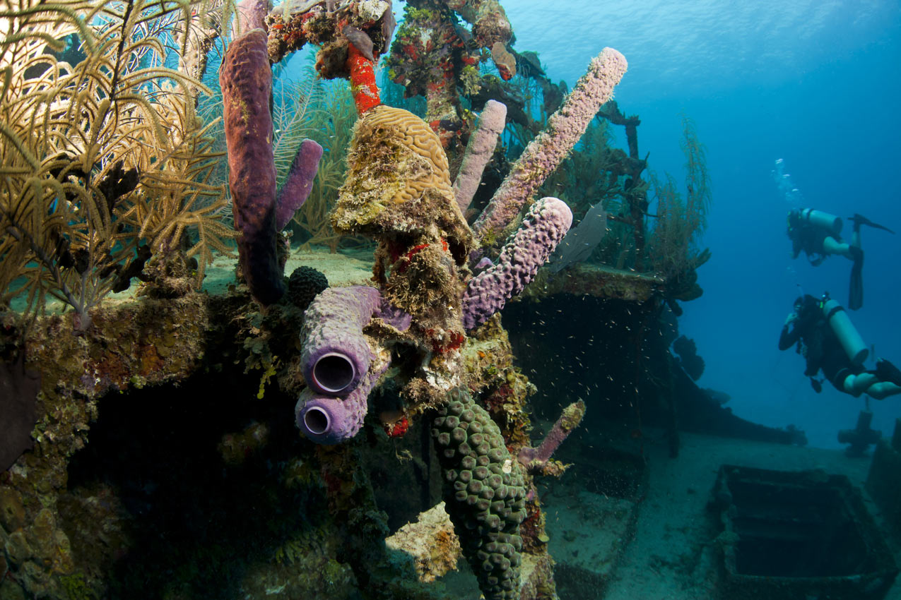 scuba diving Bay Islands, Honduras
