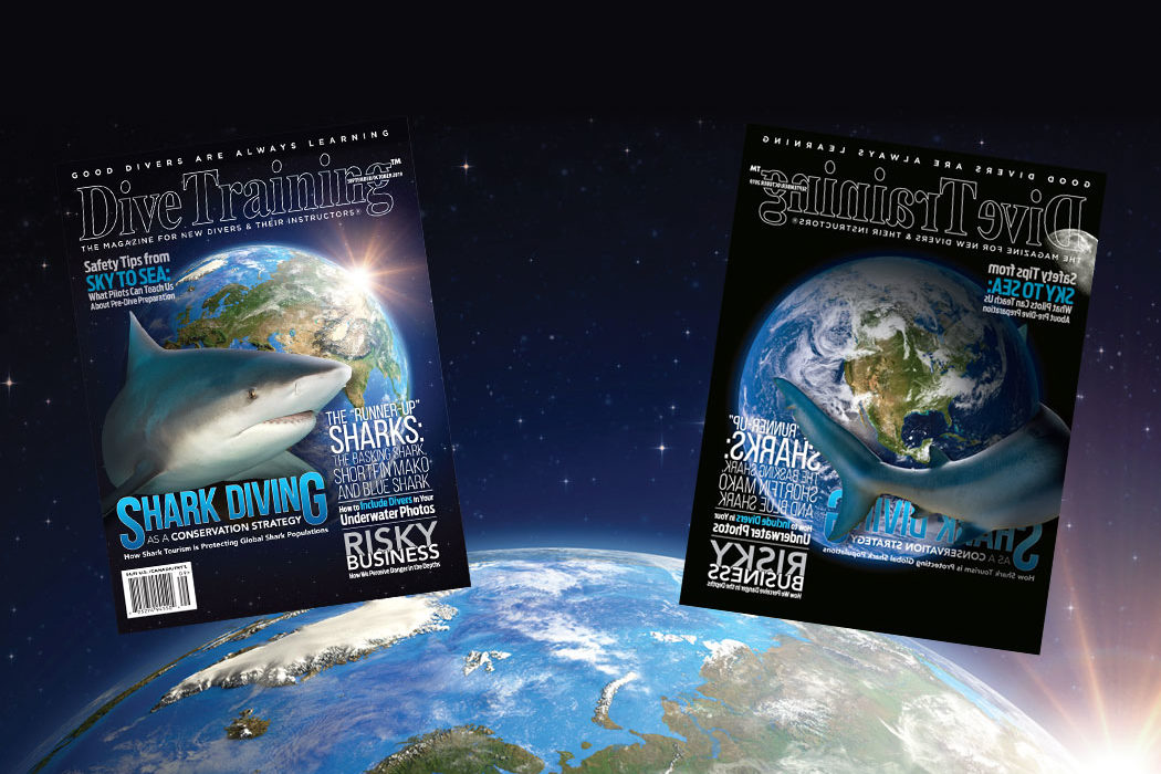 shark diver magazine
