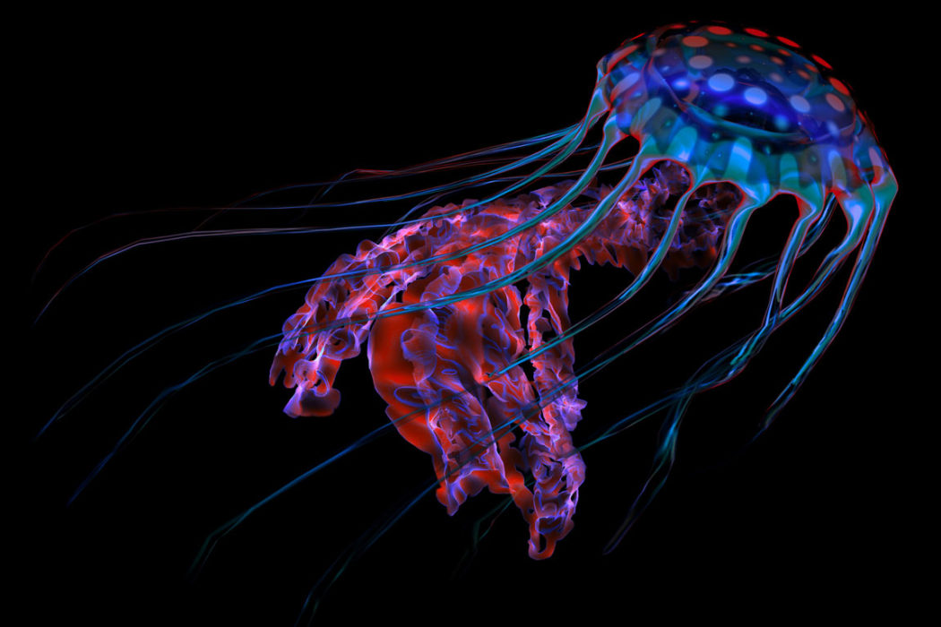 Bioluminescence: The greatest light show of them all